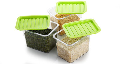 CPEX Plastic Grocery Container  - 1100 ml(Multicolor)