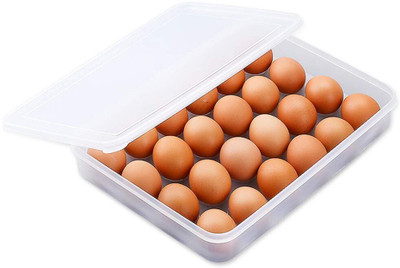 Coozico Plastic Egg Container  - 2 dozen(Clear)
