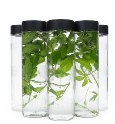 Shreeji krupa Glass Fridge Container  - 750 ml(Pack of 6, Clear)