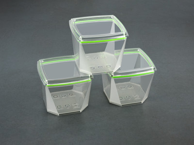FLYUP Plastic Cookie Jar  - 500 ml(Multicolor)