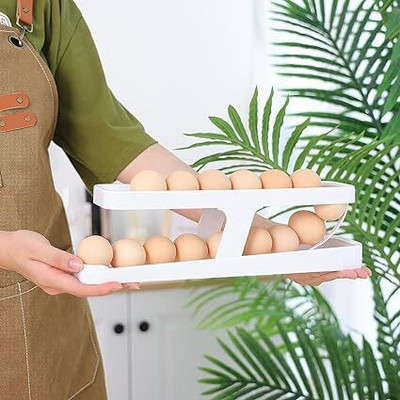 PIXEL ENTERPRISE Plastic Egg Container  - 1 dozen(Off White)