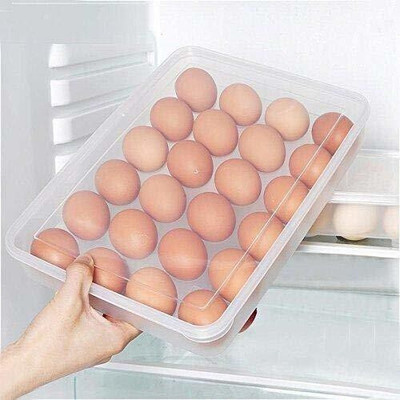 RDKITCHENWERE Plastic Egg Container  - 2 dozen(Clear)