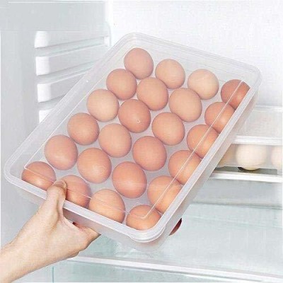 JIGSHTIAL Plastic Egg Container  - 2 dozen(Clear)