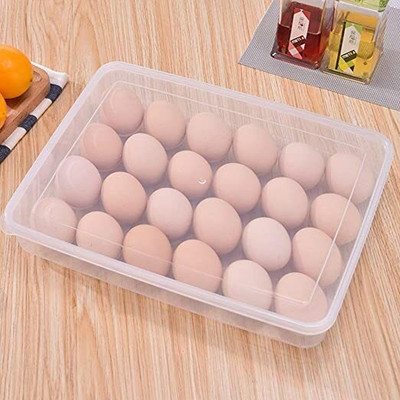 DSP Plastic Egg Container  - 2 dozen(Clear)
