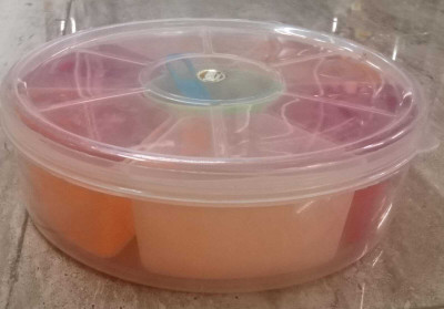 Floweraura Plastic Utility Container  - 250 ml(Multicolor)
