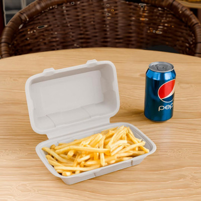 Ecogreenz Sugarcane Bagasse Utility Container  - 800 ml(Pack of 25, Off White)