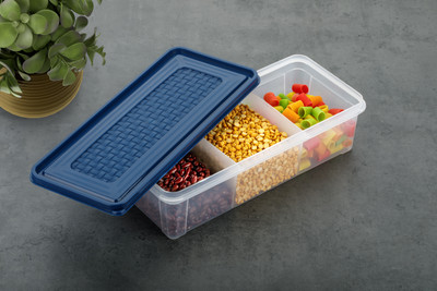 Dominic Plastic Fridge Container  - 2000 ml(Blue)