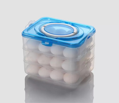 SHAKTIKITCHEN Plastic Egg Container  - 3 dozen(Blue)