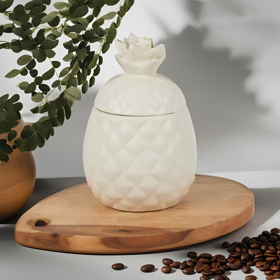 kaolinite Ceramic Utility Container  - 500 ml(White)