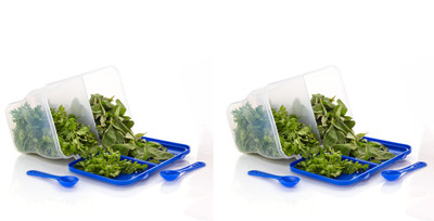 MAGICSPOON Polypropylene Fridge Container  - 2000 ml(Pack of 2, Blue, White)