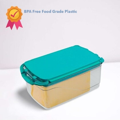DiMi Plastic Fridge Container  - 500 g(Multicolor)