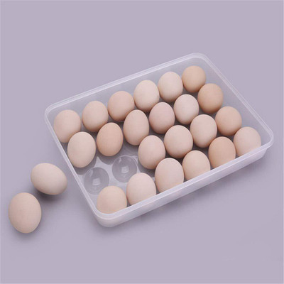 Tanlesa Plastic Egg Container  - 2 dozen(Clear)