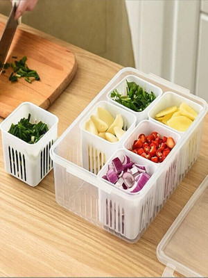 STARDOT Plastic Fridge Container  - 2300 ml(White)