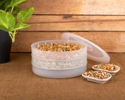 KEATON Plastic Sprout Maker  - 2000 ml(Clear)