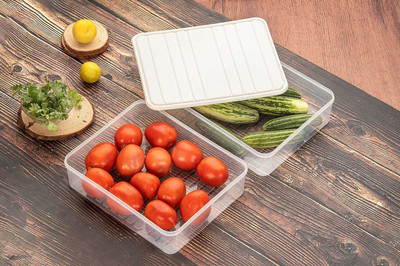 Raghuandan Plastic Fridge Container  - 2500 ml(Pack of 2, White)