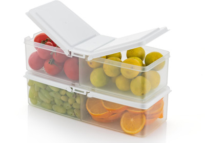 Raghunandan Plastic Fridge Container  - 1700 ml(Pack of 2, White)