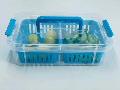 ROYALRYTE ENTERPRISE Plastic Fridge Container  - 2200 ml(Blue)