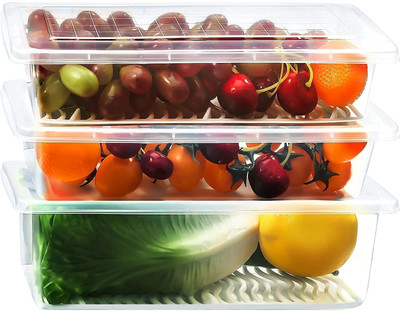 DELMON Plastic Fridge Container  - 1500 ml(Pack of 6, Clear)