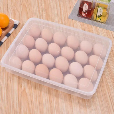 jagran Plastic Egg Container  - 2 dozen(Clear)