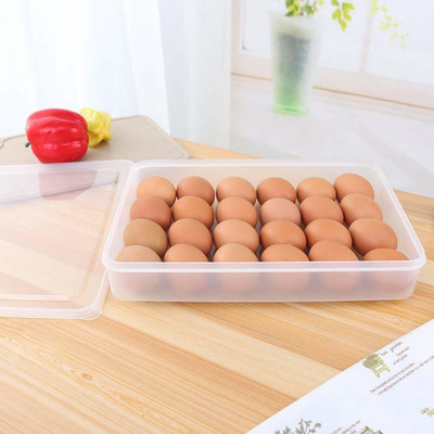 Coozico Plastic Egg Container  - 2 dozen(White)