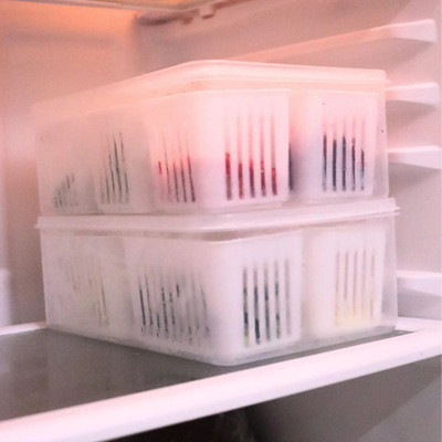 GSC Plastic Fridge Container  - 1000 ml(Pack of 2, White)