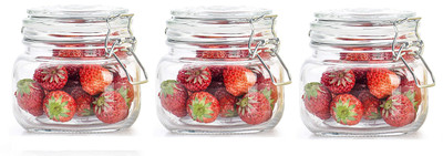GOOD TO GREAT CREATION Glass Grocery Container  - 500 ml(Pack of 3, Clear)
