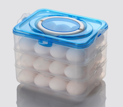 WARMFLOW Plastic Egg Container  - 1000 ml(Blue)