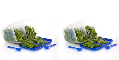 MAGICSPOON Polypropylene Fridge Container  - 2000 ml(Pack of 2, Blue, White)