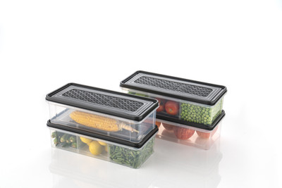 Skylift Plastic Fridge Container  - 2000 ml(Pack of 4, Black)