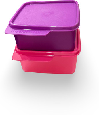 TUPPERWARE Plastic Utility Container  - 500 ml(Pack of 2, Red, Blue)