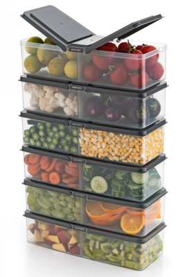 Raghunandan Plastic Fridge Container  - 1700 ml(Pack of 6, Grey)