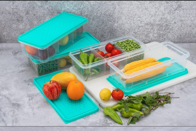SKYLIFE Plastic Fridge Container  - 2000 ml(Pack of 4, Green)