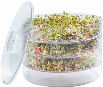 CHHOTI TOKRI Plastic Sprout Maker  - 500 ml(Transparent)