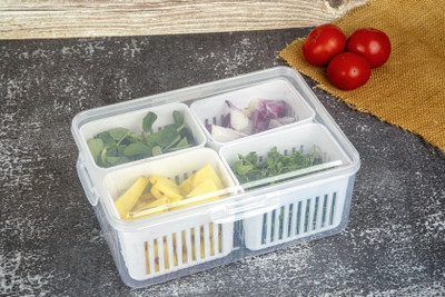 Crackle Plastic Fridge Container  - 2000 ml(Multicolor)