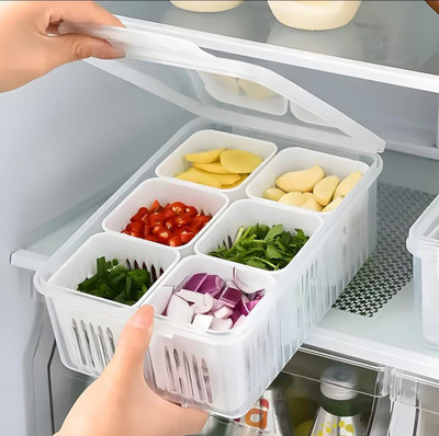 NEXTVIEW Plastic Fridge Container  - 2200 ml(White)