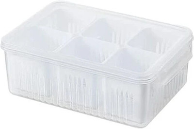 RAYORA Plastic Fridge Container  - 2300 ml(White)