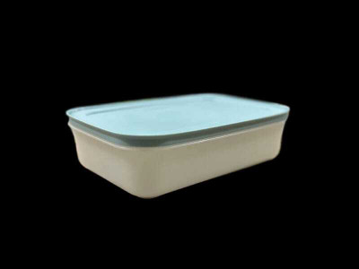 TUPPERWARE Plastic Fridge Container  - 1.1 L(Light Blue)