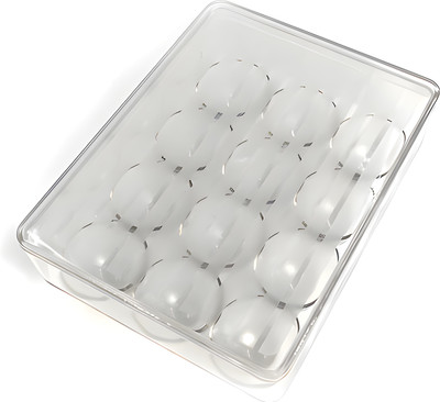 Gambit Plastic Egg Container  - 1 dozen(White)