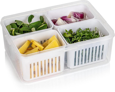 DYZEKO Plastic Fridge Container  - 2200 ml(Multicolor)