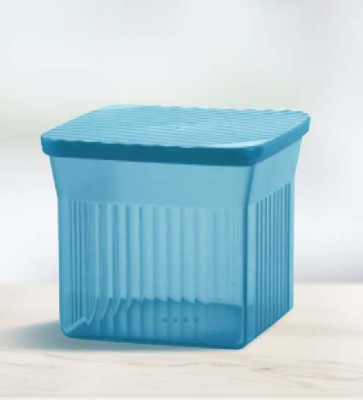 TUPPERWARE Polypropylene Utility Container  - 510 ml(Multicolor)