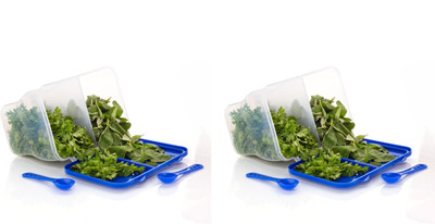 COLOSSAL Plastic Fridge Container  - 2000 ml(Pack of 2, Blue)