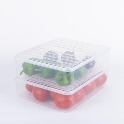 Raghuandan Plastic Fridge Container  - 2500 ml(Pack of 2, Clear)