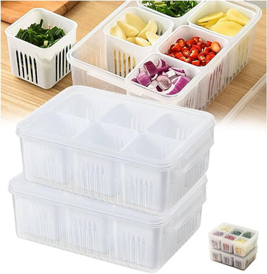 Mataiva Plastic Fridge Container  - 2200 ml(Pack of 2, Multicolor)