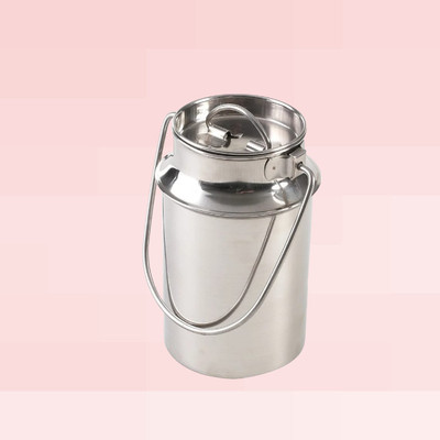Bravity Steel Milk Container  - 500 ml(Silver)