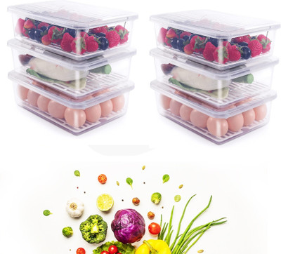 EagleWell Plastic Fridge Container  - 2500 ml(Pack of 6, Clear)