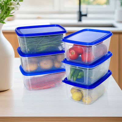 FEEDNIX Plastic Fridge Container  - 2000 ml(Pack of 6, Blue)