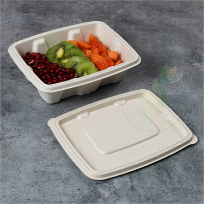 SS ECOWARE Sugarcane Bagasse Utility Container  - 500 ml(Pack of 20, Silver)