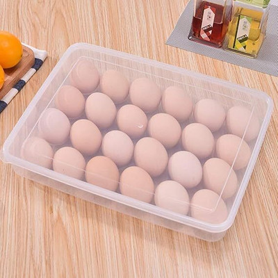 DOXONZ Plastic Egg Container  - 2 dozen(White)