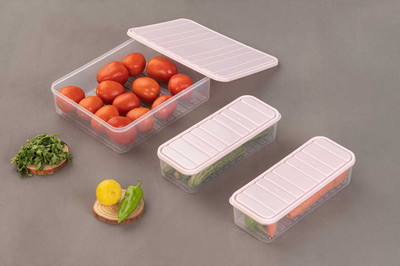 DELMON Polypropylene Fridge Container  - 2500 ml, 1200 ml(Pack of 3, White)