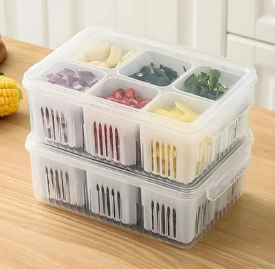 Anudap Plastic Fridge Container  - 2200 ml(Pack of 2, White)